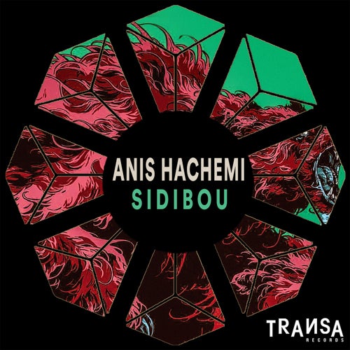 Anis hachemi - Sidibou [TRANSA379]